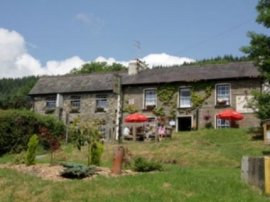 Royal Oak Inn (The), Llandovery, South Wales