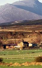 Dougarie Estate, Isle of Arran