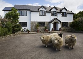 Sheepleys, Vale Of Glamorgan, South Wales