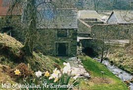Cottages in Angus & Dundee, 