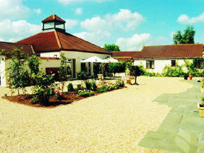 Coxley Vineyard, Somerset