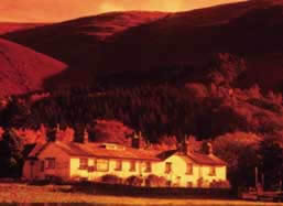 Swan, Cumbria