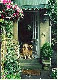 Haydon House, Bath, Somerset