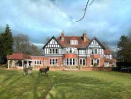 The White Buck Inn, Hampshire