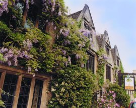 Bay Tree, Burford, Oxfordshire