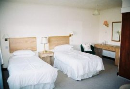 The Otter, Bishop Auckland, County Durham