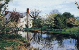 Fluxton Farm, Fluxton Farm, Devon