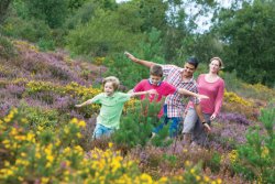 Kelling Heath Holiday Park, Kelling Heath Holiday Park, Norfolk
