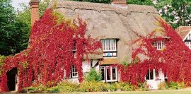 Farthing Corner, Salisbury, Wiltshire