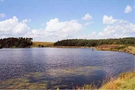 Ray Demesne, Kirkwhelpington, Northumberland