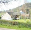 Greenlea