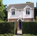 Self Catering New Forest