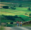 Swaledale Cottages