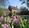 Sansome House Cottage