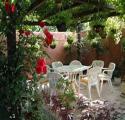 Vignoble