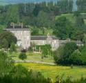 Kingston Estate