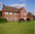 The Mount Guest House