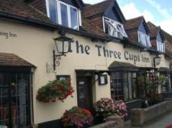 The Three Cups Inn, Stockbridge, Hampshire