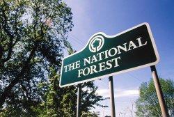 The National Forest, Burton Upon Trent, Staffordshire