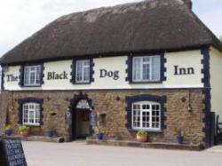 Black Dog Inn, Crediton, Devon