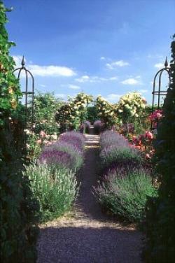 Ryton Organic Gardens, Coventry, Warwickshire