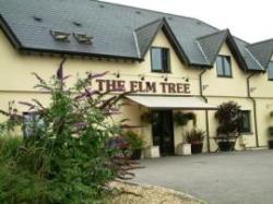 The Inn at the Elm Tree, Newport, South Wales