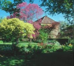 East Lambrook Manor Gardens, South Petherton, Somerset
