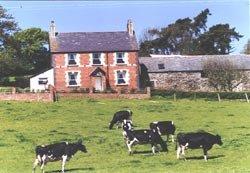 Tyddyn Chambers Farmhouse, Ruthin, North Wales