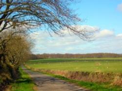North Country Roads, Throughout Northumberland, Northumberland