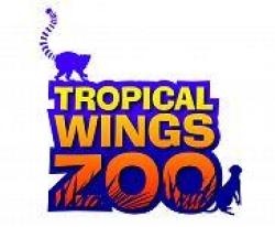 Tropical Wings Zoo, Chelmsford, Essex