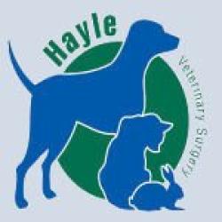 Hayle Veterinary Surgery, Hayle, Cornwall