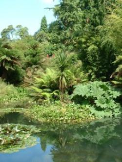 Lost Gardens of Heligan, St Austell, Cornwall