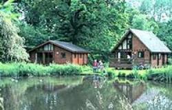 Whitemead Forest Park, Lydney, Gloucestershire