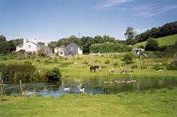Knowle Farm, Totnes, Devon