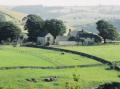 Cotterill Farm