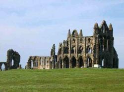 Synod of Whitby