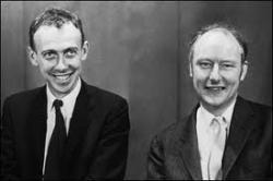 Crick and Watson discover DNA