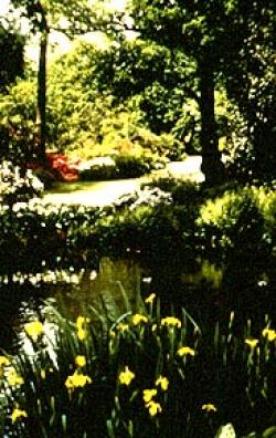 Attractions in Berkshire
