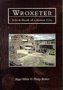 Wroxeter: Life and Death of a Roman City