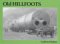 Old Hillfoots: Menstrie, Alva, Tillicoultry, Dollar