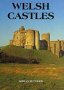 Welsh Castles: A Guide by Counties