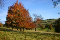 Autumn landscape