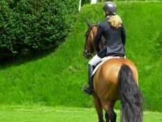 Dressage