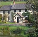 Centery Farm