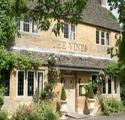 The Vines
