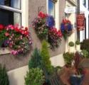 Caledonia Guest House