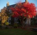 Belmont B&B