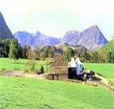 New House Farm