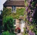 The Old Farmhouse