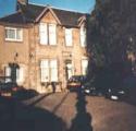 Beeches